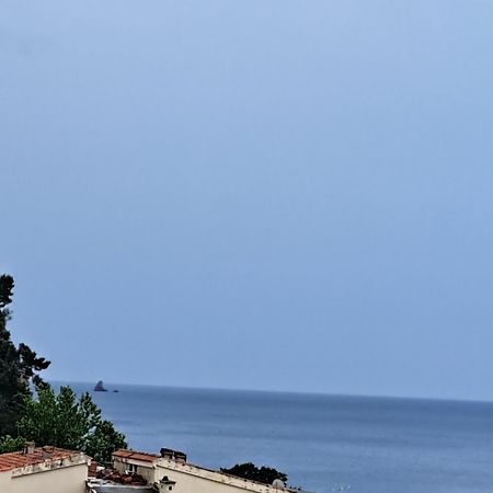 The Four Fish Apartment Petrovac ภายนอก รูปภาพ