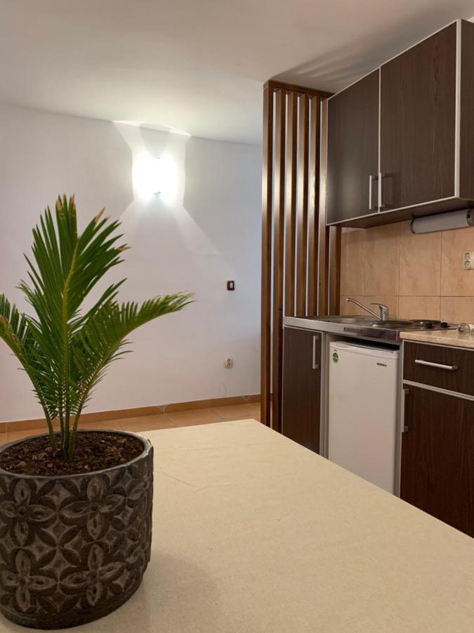 The Four Fish Apartment Petrovac ภายนอก รูปภาพ