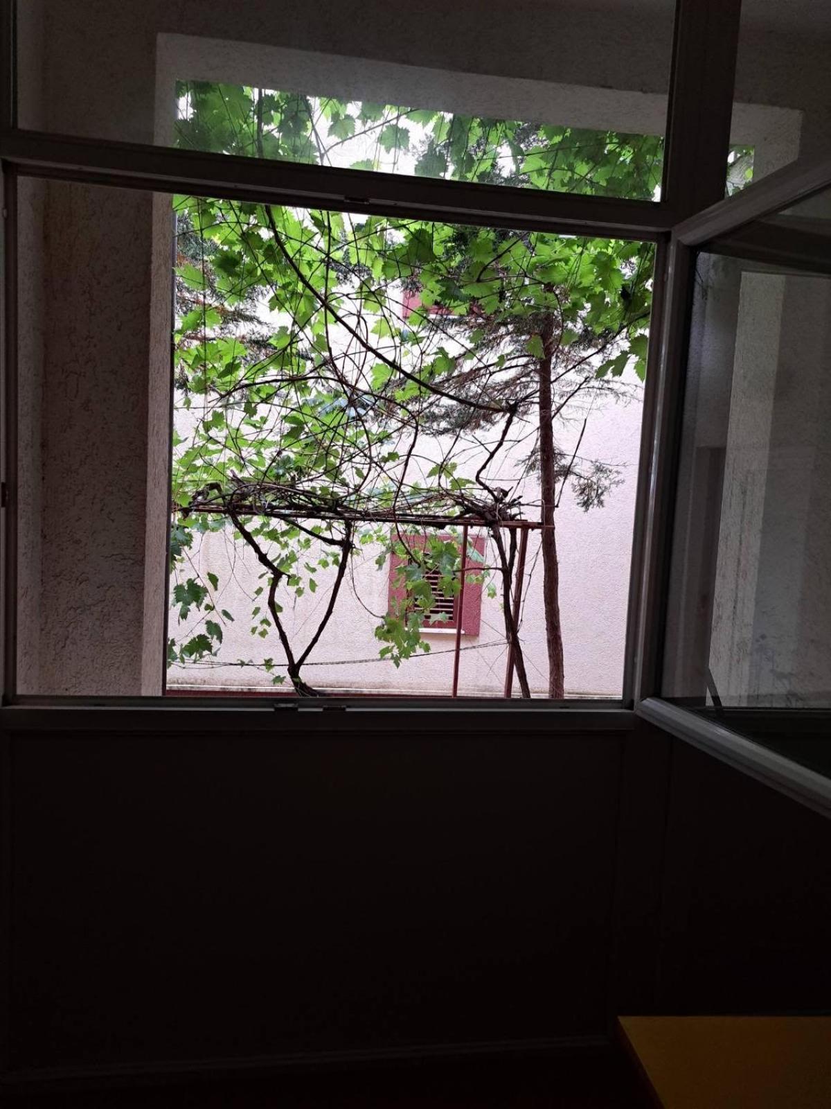 The Four Fish Apartment Petrovac ภายนอก รูปภาพ